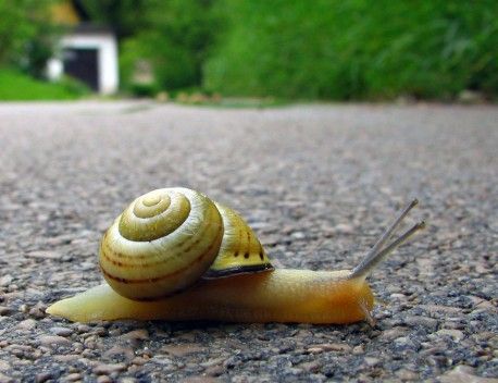 Lange Ladezeiten nerven – und führen zu Umsatzeinbußen