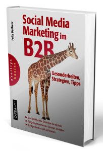 Felix Beilharz B2B Social Media Marketing Buch