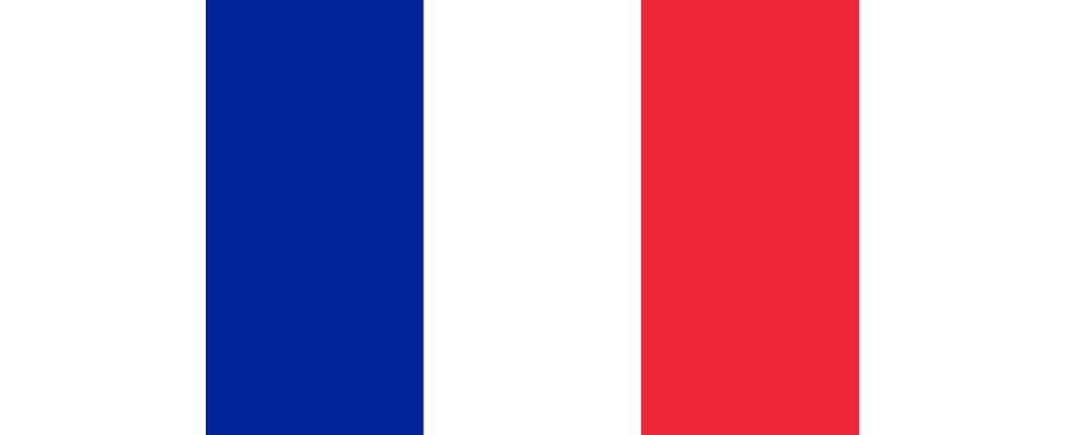 Frankreich will Google und Facebook zur Kasse bitten