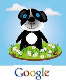 Google Penguin Update 2.0 kommt in den nächsten Wochen