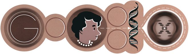 Google Doodle von heute: Rosalind Franklin
