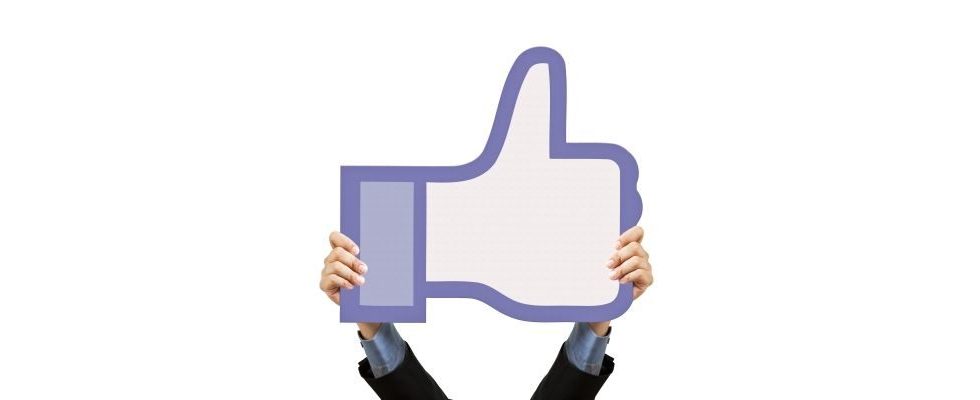 Facebook-Traffic: Soziales Netzwerk immer relevanter