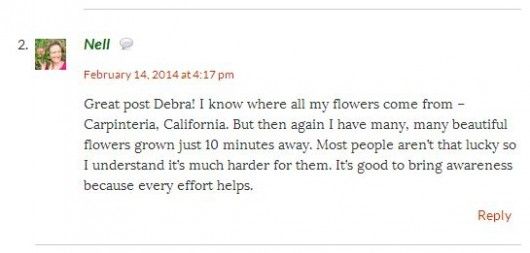 Positives Beispiel für einen Blogkommentar auf "Gardenrant"<br> Quelle: searchenginewatch.com