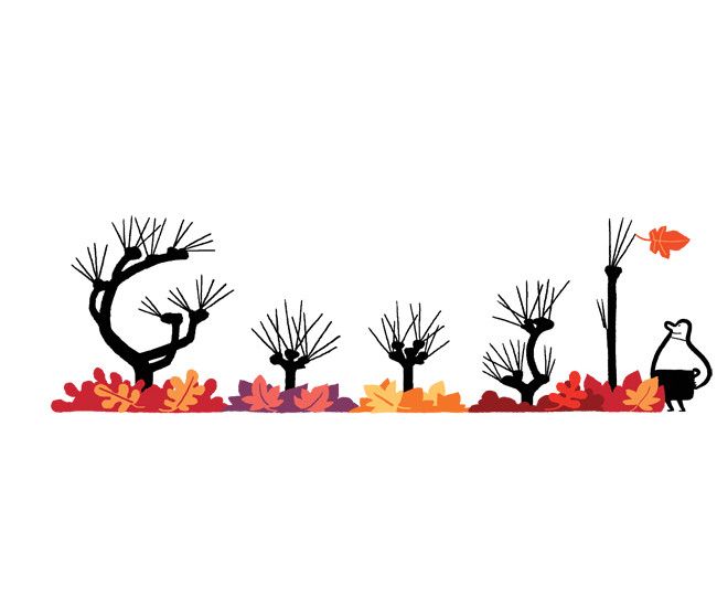 Google Doodle von heute: Herbstanfang