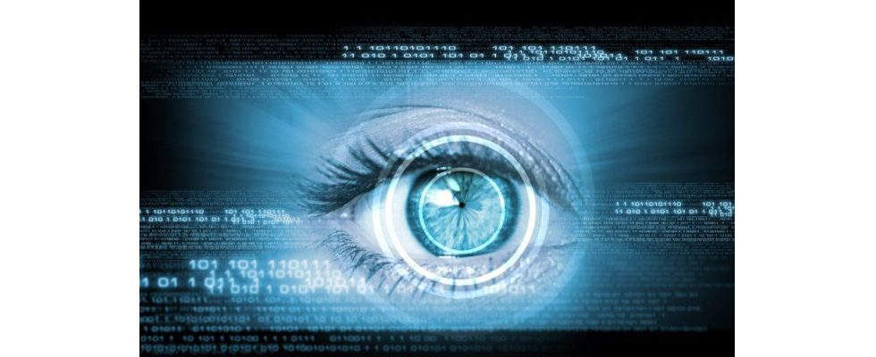 Google Eye-Tracking Studie: Die Evolution der Suchenden