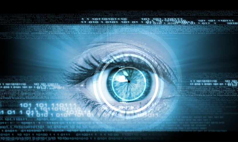 Google Eye-Tracking Studie: Die Evolution der Suchenden