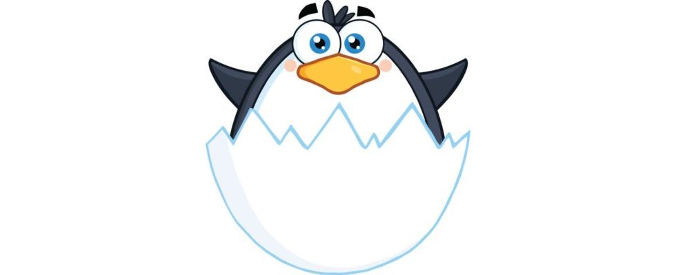 Neues Update nach einem Jahr Pause – Google bestätigt Penguin 3.0