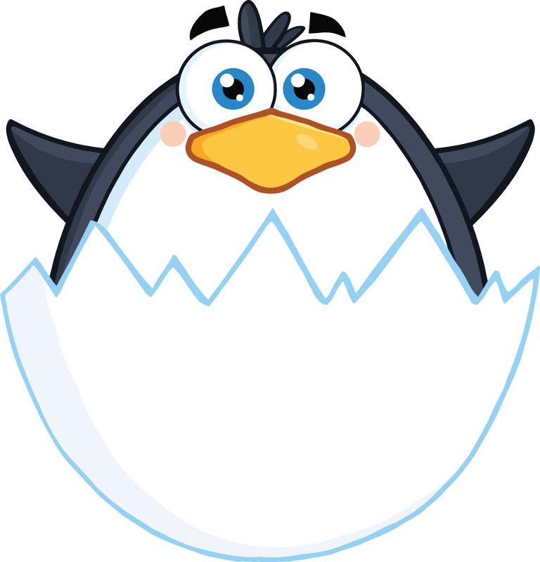 Neues Update nach einem Jahr Pause – Google bestätigt Penguin 3.0