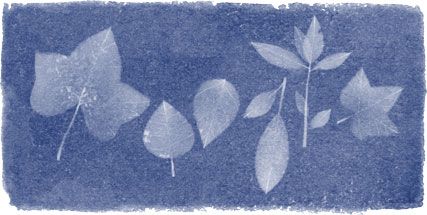 Google Doodle von heute: Anna Atkins