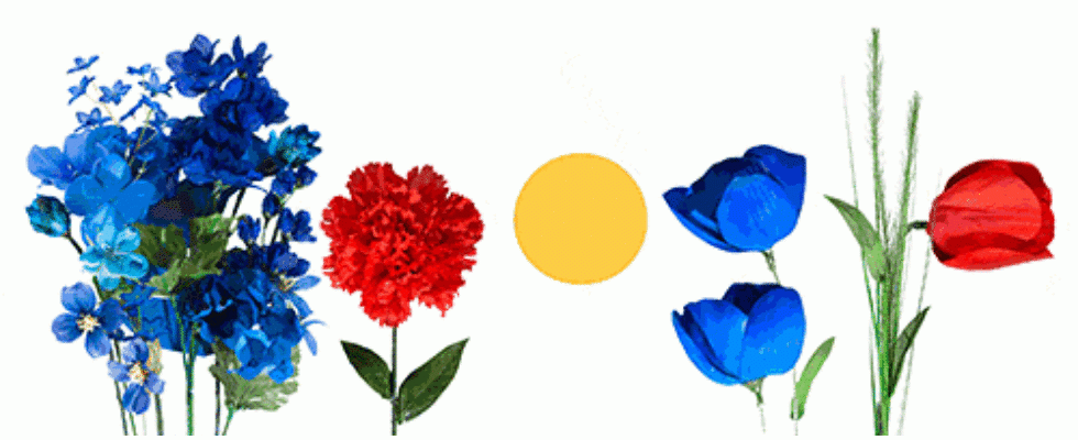Google Doodle von heute: Sonnenfinsternis