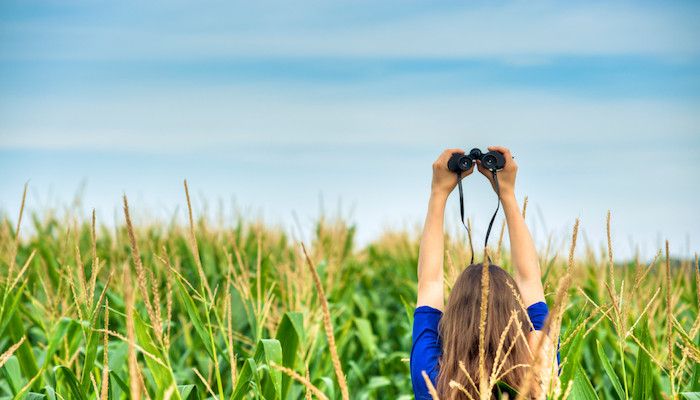 Mehr Daten, mehr Bildschirme, mehr Kreativität: Trends und Herausforderungen für erfolgreiches Retargeting