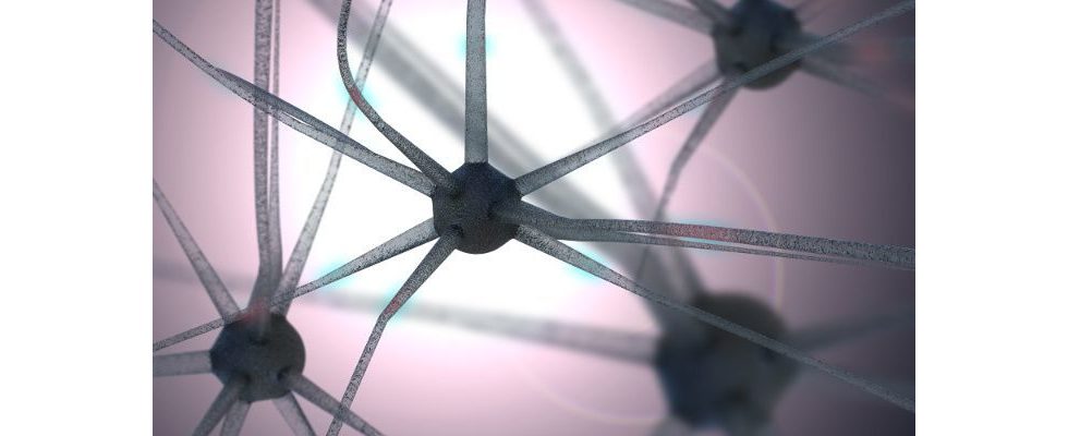 Entrümpeln im Gehirn: Schneller und besser lernen dank Synapseneliminierung