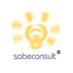 sabeconsult Coaching