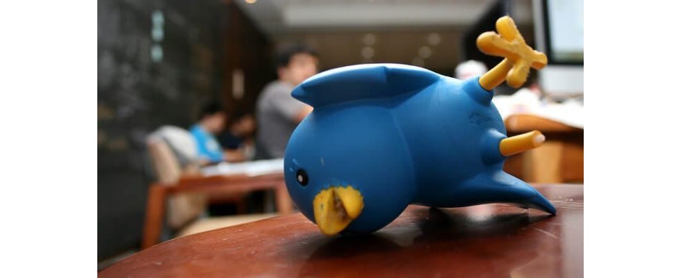 Vor Quartalszahlen-Verkündung: Twitter entlässt erneut 300 Mitarbeiter