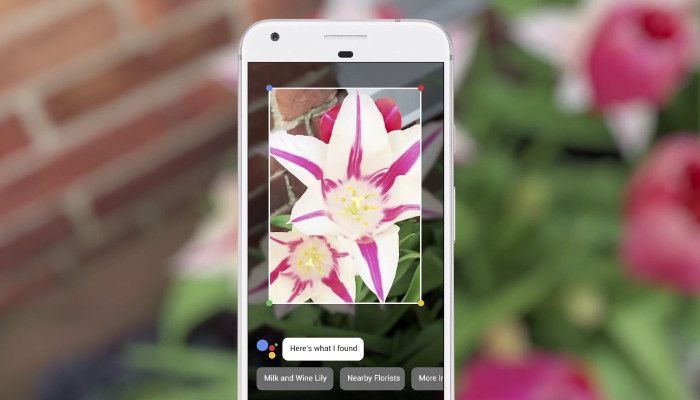 Blick in die Zukunft: Bildersuchfunktion Google Lens entschlüsselt in Echtzeit, was du siehst