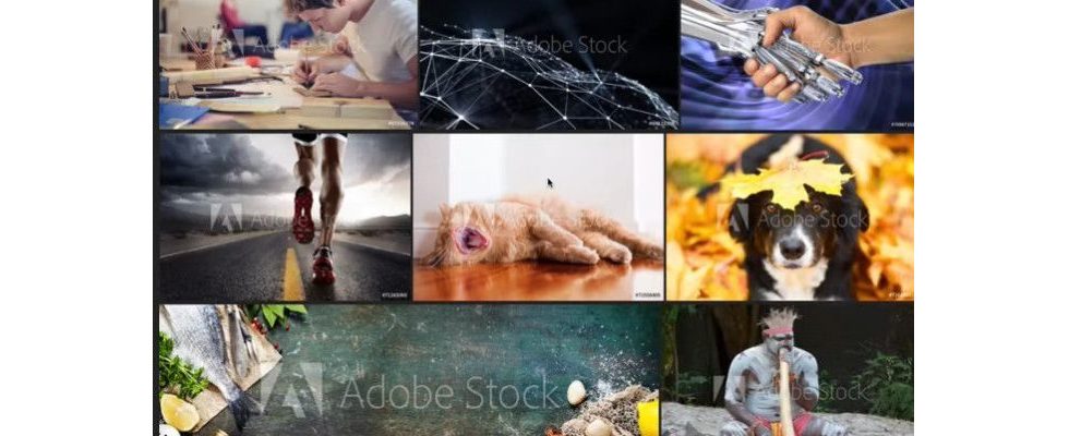 Google Algorithmus entfernt Wasserzeichen auf Stockfotos – binnen Sekunden