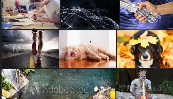 Google Algorithmus entfernt Wasserzeichen auf Stockfotos – binnen Sekunden