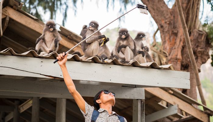 Wildlife Selfie Trend: Instagram führt Alarm zum Schutz vor der Ausbeutung von Tier und Natur ein