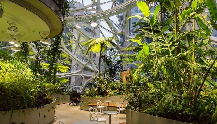 Grünes Büro: Welche Vorteile Pflanzen im Office bringen