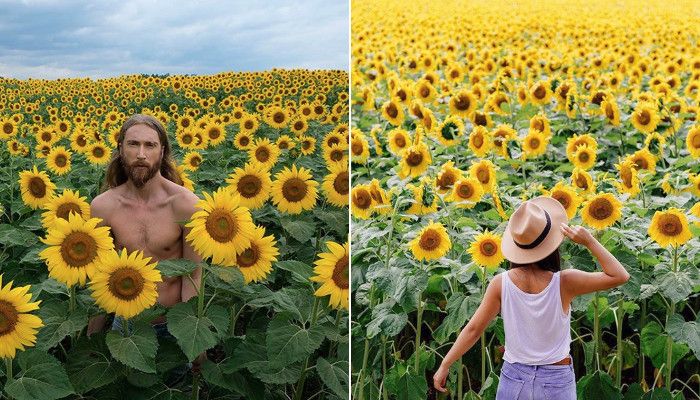 „Zombie Apocalypse“: Tausende Instagrammer überrennen Sonnenblumenfarm