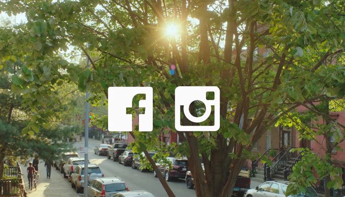 Social Trends-Bericht 2019: Engagement bei Instagram am stärksten und Videowachstum hält an