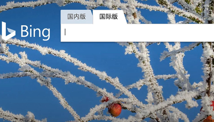 Bing in China blockiert