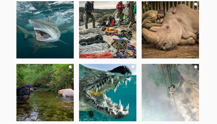 National Geographic knackt als erste Marke die 100 Millionen Follower auf Instagram