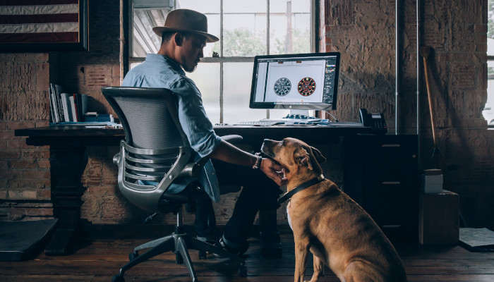 Bürohunde als Feel Good Manager: Was gibt es zu beachten?