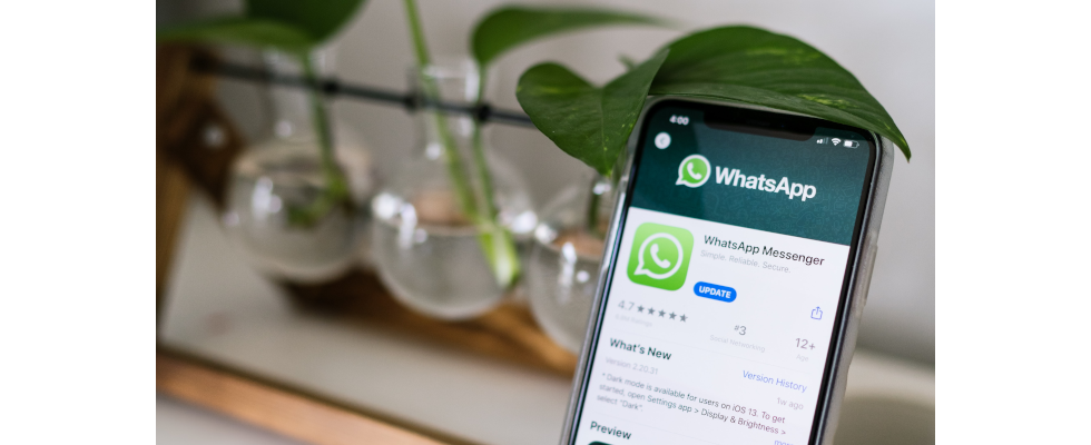 WhatsApp Business: Was bietet die neue Version für Unternehmen?