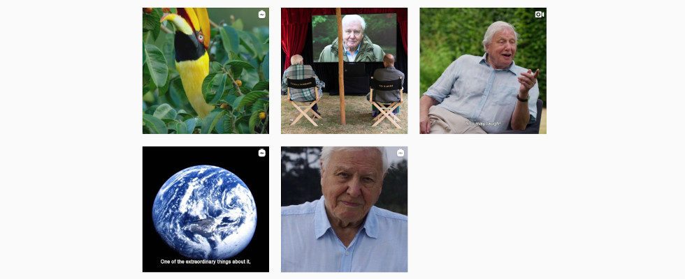 In Rekordzeit zu einer Million Instagram Followern: Sir David Attenborough toppt Jennifer Anistons Bestwert