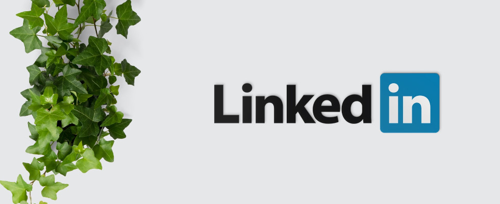 LinkedIn Logo und Efeu