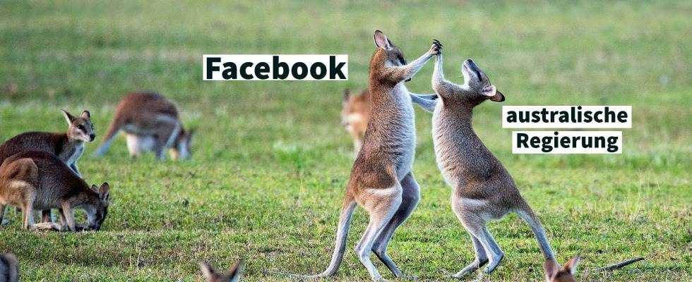 Facebook streicht journalistische Medieninhalte in Australien
