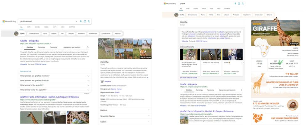 Microsoft Bings neue visuell ansprechende Search Experience: User sparen Zeit