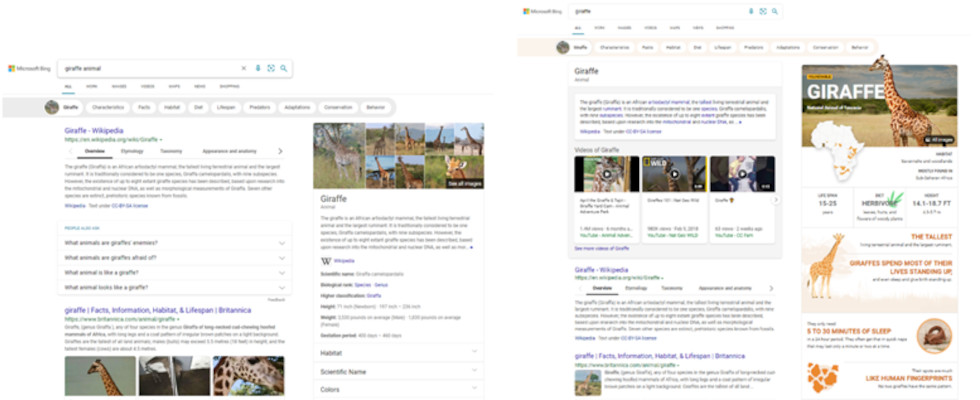 Microsoft Bings neue visuell ansprechende Search Experience: User sparen Zeit