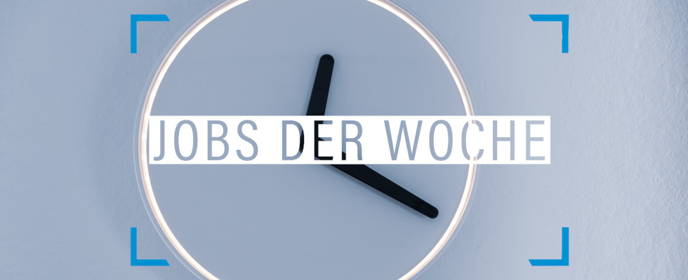 Kündigungsgrund Chef? Wir haben einen neuen Job für dich