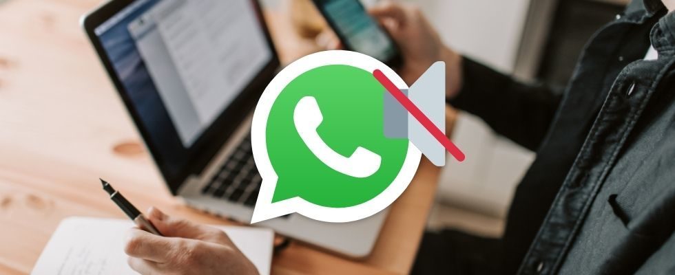 Mute-Funktion bei WhatsApp: Videos ohne Ton verschicken