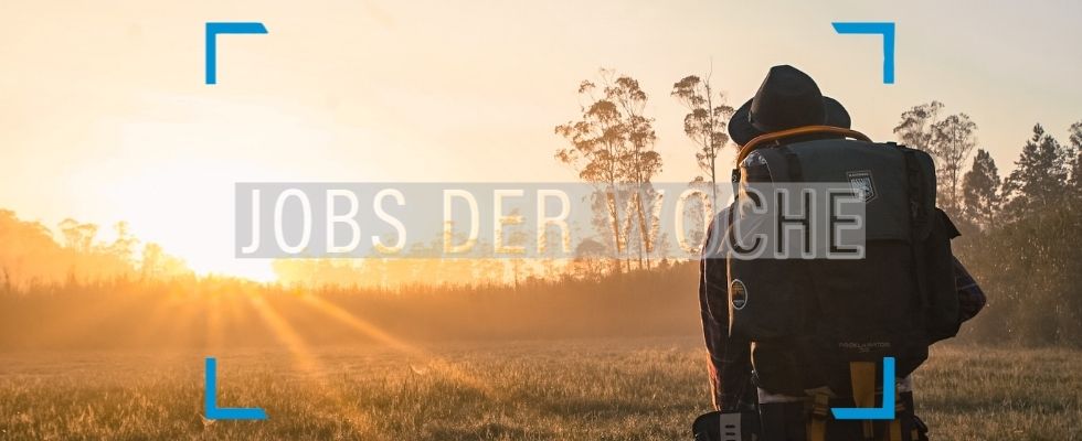 Jobs der Woche: Auf direktem Weg zum Traumjob