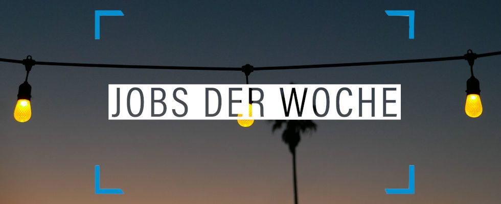 Jobs der Woche: Noch diesen Sommer zum Traumjob