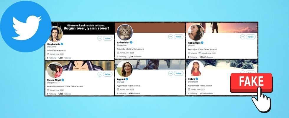 Twitter verifiziert versehentlich Fake Accounts