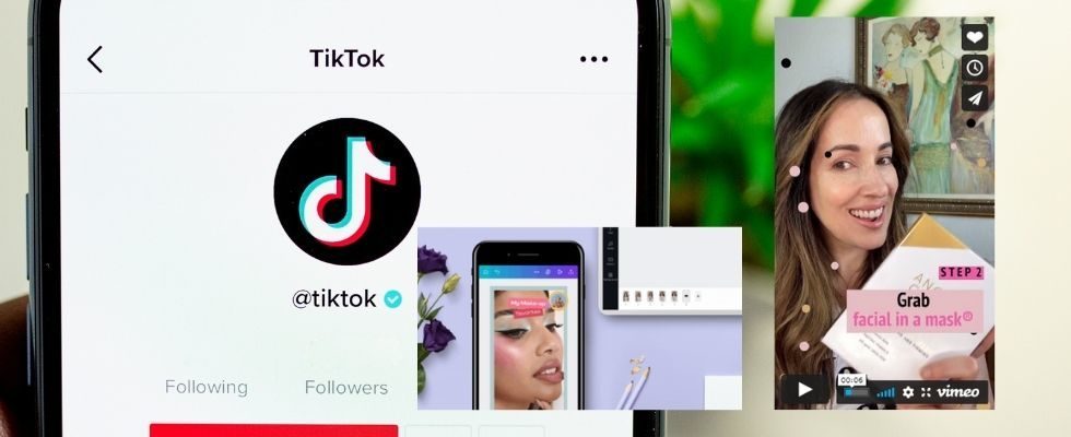 Ad Tools für KMU: TikTok kündigt Partnerschaft mit Vimeo und Canva an
