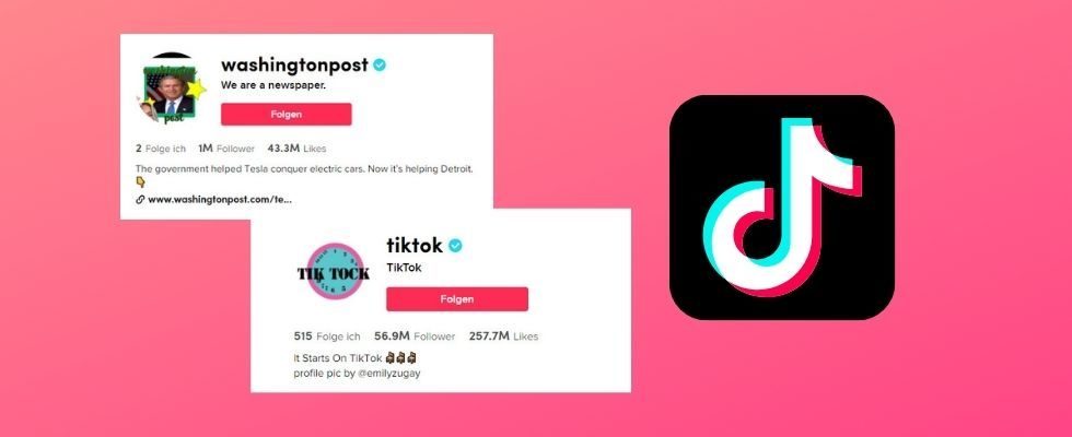 TikTok Creator designt in Videos altbekannte Logos neu – plötzlich stehen alle großen Unternehmen Schlange