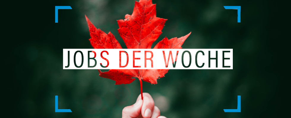 Herbst-Blues? Nicht mit unseren Jobs der Woche