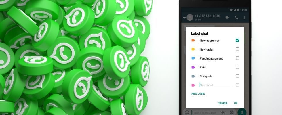 WhatsApp Business: User-Tipps und wie du deinen Account verifizierst
