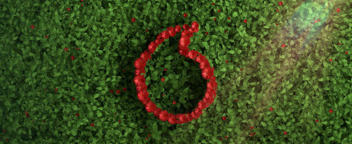 Vodafone-Logo rot auf grün