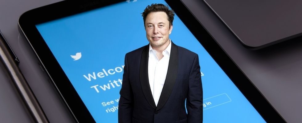 Elon Musk kauft Twitter, wird CEO, feuert Führungskräfte und lässt Trump auf Rückkehr hoffen