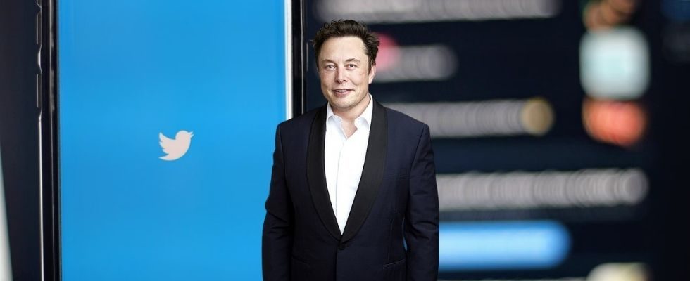 Jetzt will Elon Musk Twitter kaufen