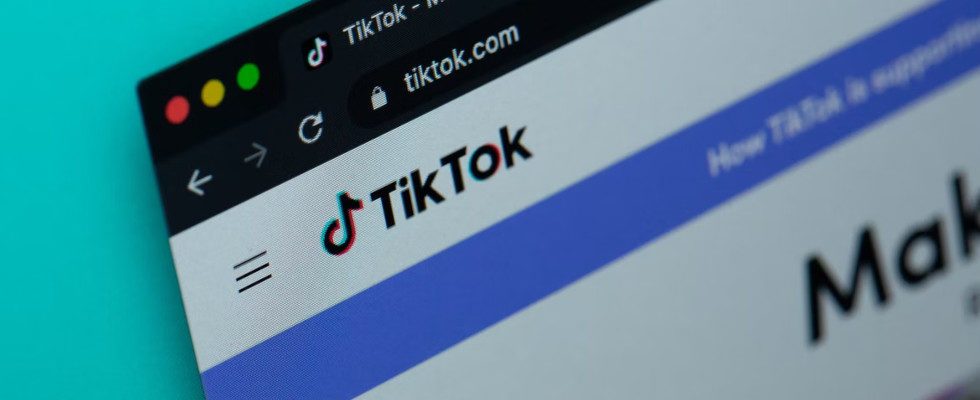 TikToks neue Search Bar: Direkte Suche nach Trends und Produkten