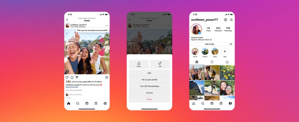 Instagram launcht Pinned Posts und Reels im Profil