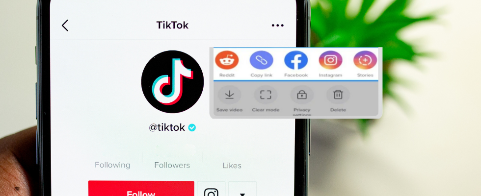 Neue Share-Option erlaubt TikTok Stories auf Instagram und Co.