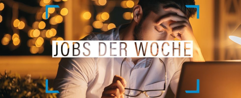 Jobs der Woche: Endlich wieder motiviert am Arbeitsplatz
